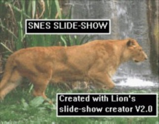 Toy Story Slide Show (PD) Rom